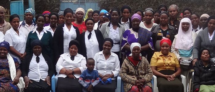 A wise woman buildeth her house